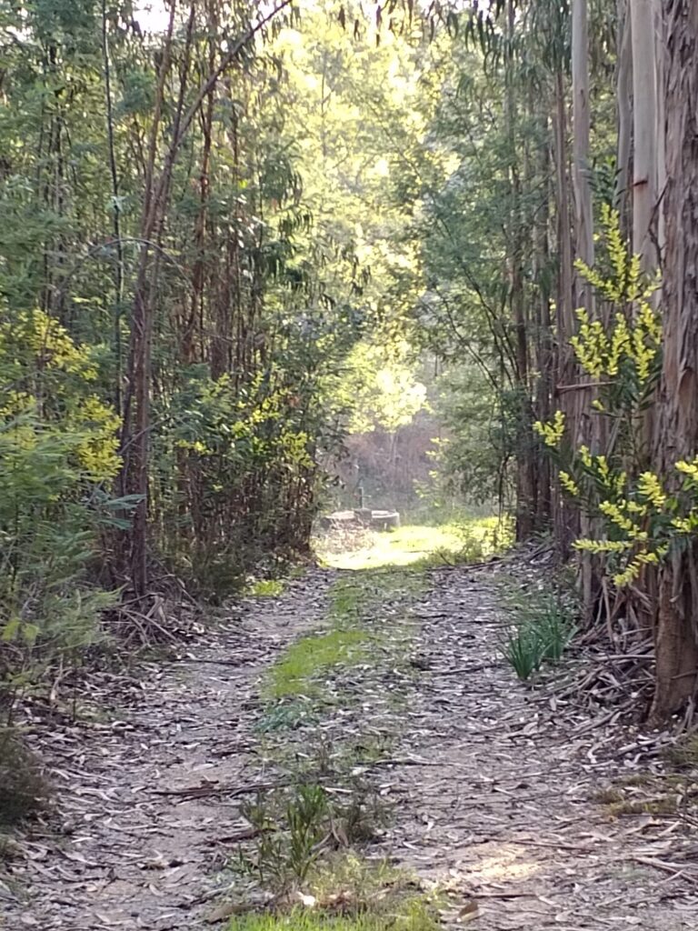 The path to the Well